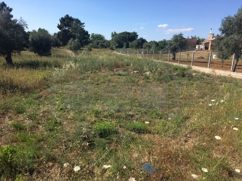 Terreno para Venda em Casais e Alviobeira Foto 3
