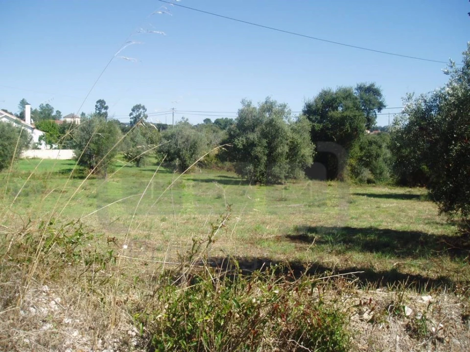 Terreno para Venda em Casais e Alviobeira Foto 1