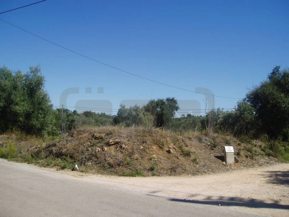 Terreno para Venda em Casais e Alviobeira Foto 3