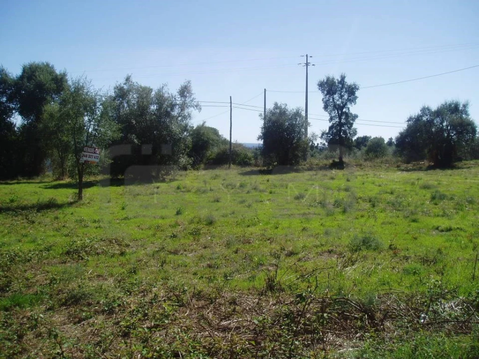 Terreno para Venda em Casais e Alviobeira Foto 5