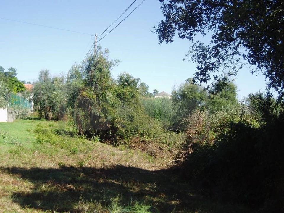 Terreno para Venda em Casais e Alviobeira Foto 6