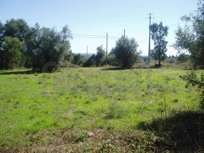 Terreno para Venda em Casais e Alviobeira Foto 4