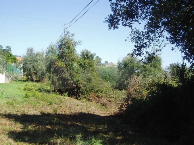 Terreno para Venda em Casais e Alviobeira Foto 6
