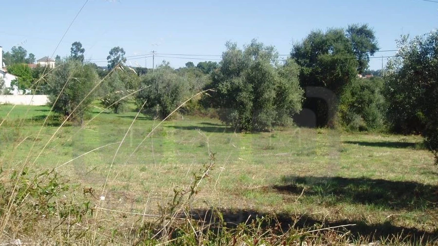 Terreno para Venda em Casais e Alviobeira