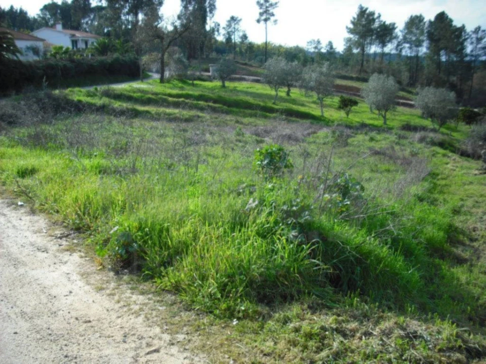 Terreno para Venda em Asseiceira Foto 2