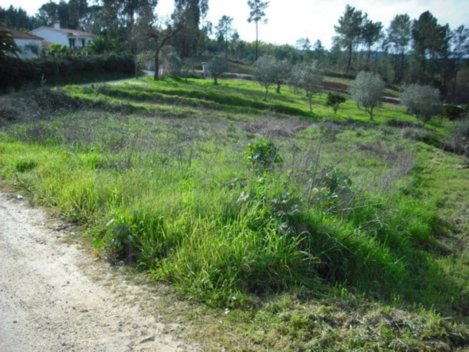 Terreno para Venda em Asseiceira Foto 2
