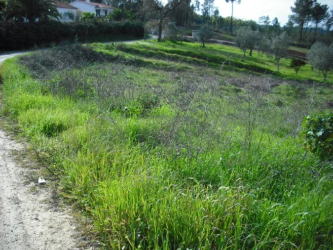 Terreno para Venda em Asseiceira Foto 4