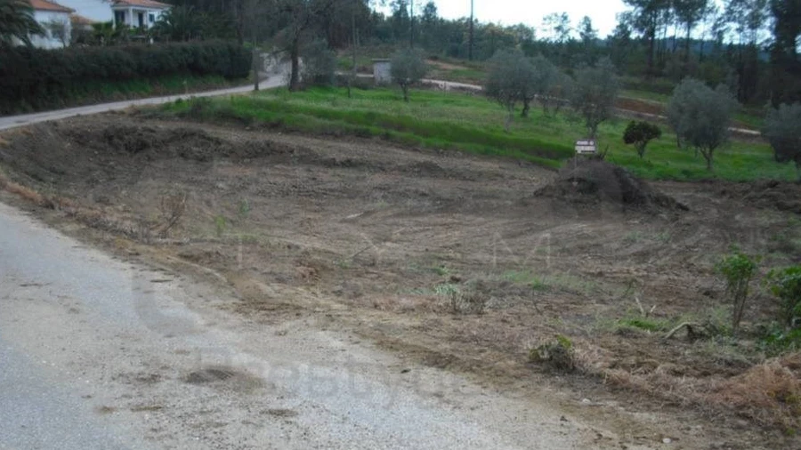 Terreno para Venda em Asseiceira