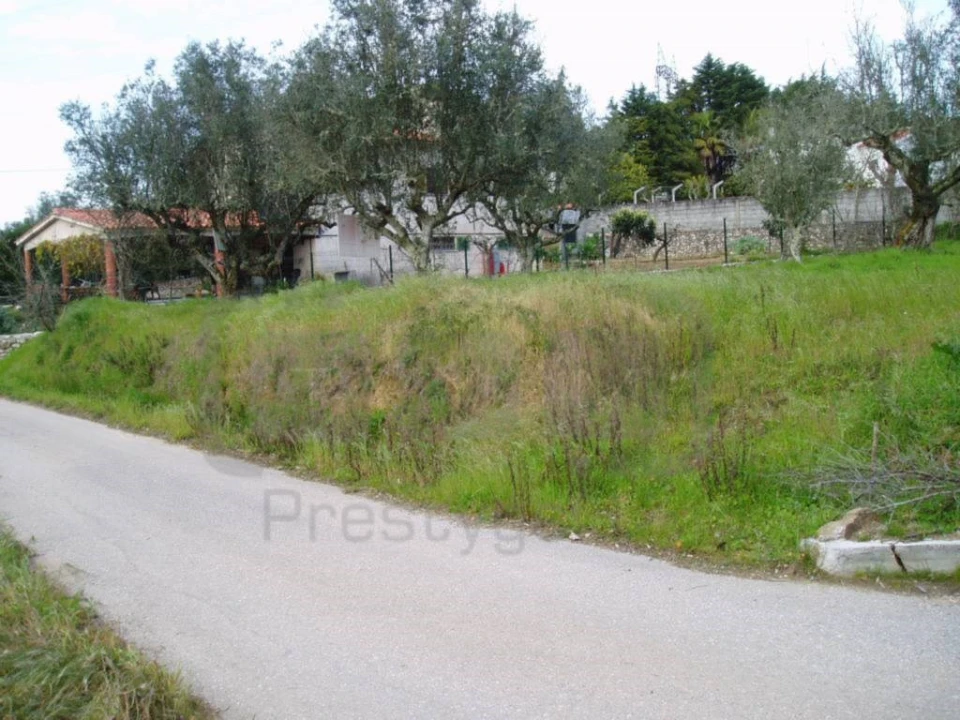Terreno para Venda em São Pedro de Tomar Foto 1
