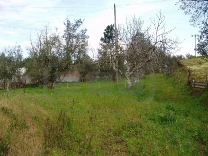 Terreno para Venda em São Pedro de Tomar Foto 2
