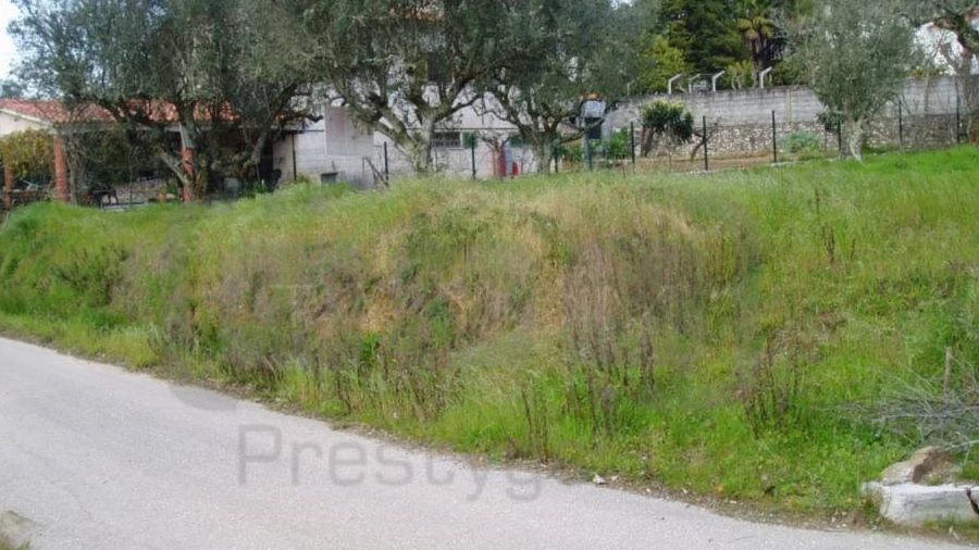Terreno para Venda em São Pedro de Tomar