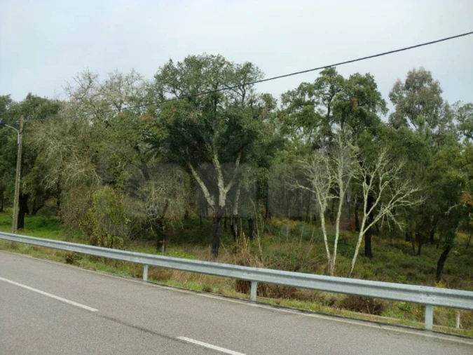 Terreno para Venda em Olalhas Foto 2