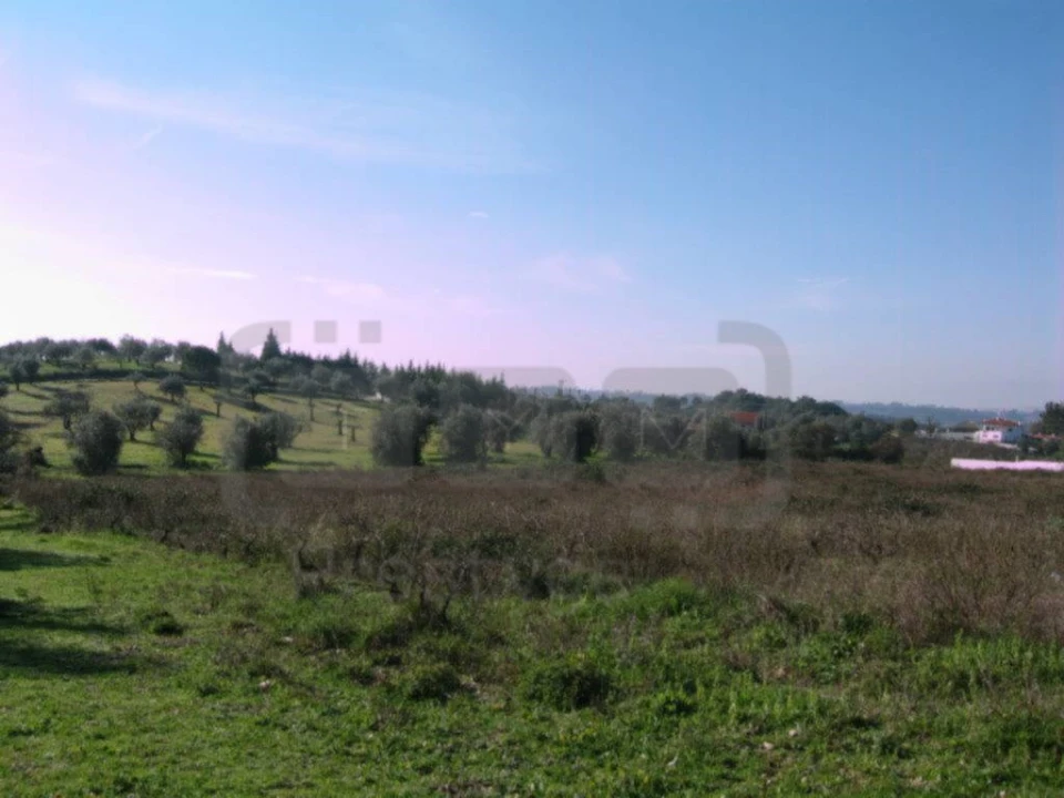 Terreno para Venda em Madalena e Beselga Foto 1