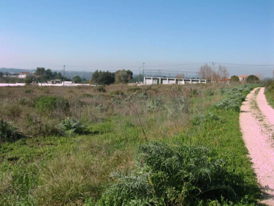 Terreno para Venda em Madalena e Beselga Foto 2