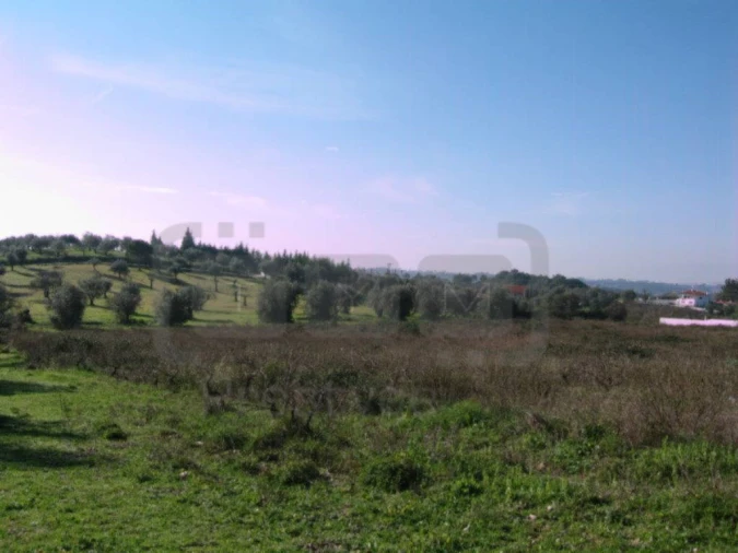 Terreno para Venda em Madalena e Beselga Foto 1