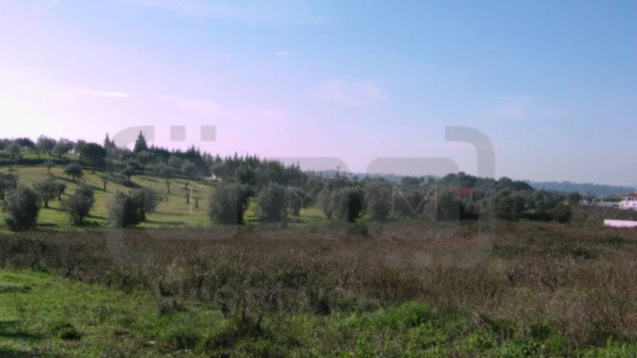 Terreno para Venda em Madalena e Beselga