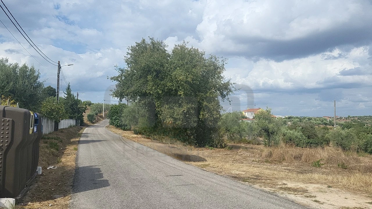 Terreno para Venda em Madalena e Beselga Foto 2