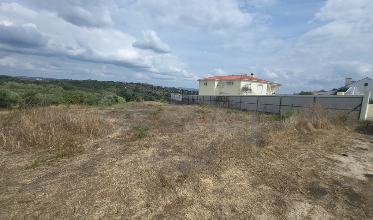 Terreno para Venda em Madalena e Beselga Foto 5