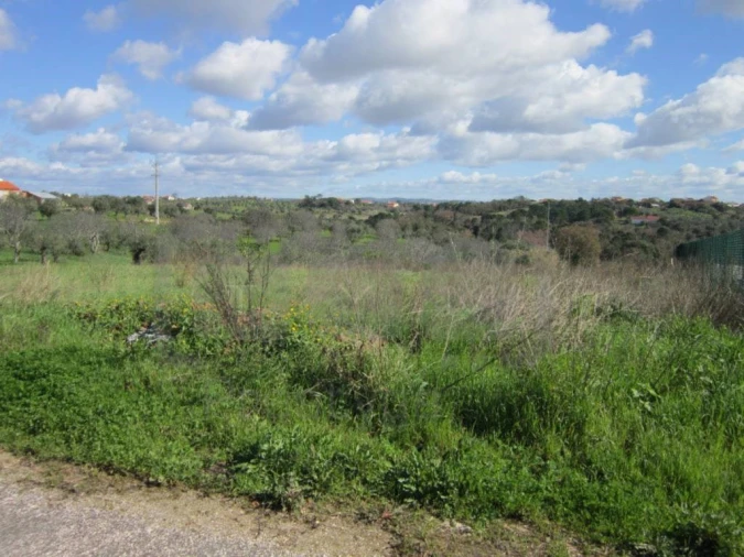 Terreno para Venda em Madalena e Beselga Foto 4