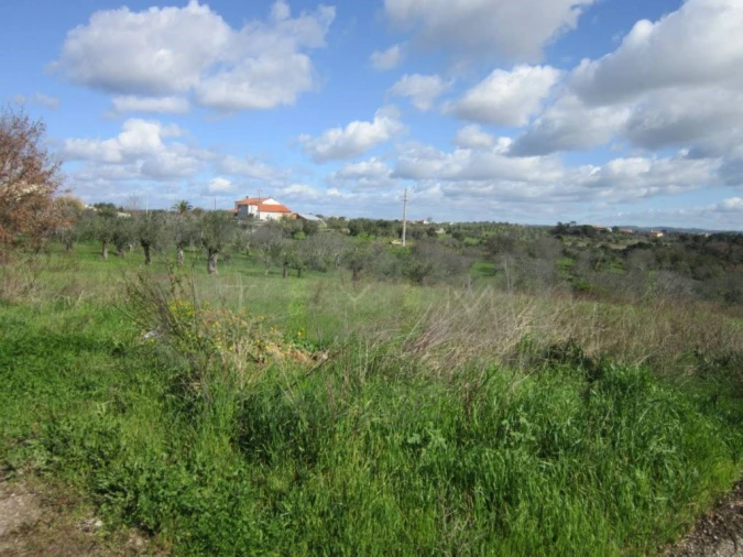 Terreno para Venda em Madalena e Beselga Foto 5