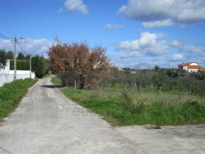 Terreno para Venda em Madalena e Beselga Foto 3