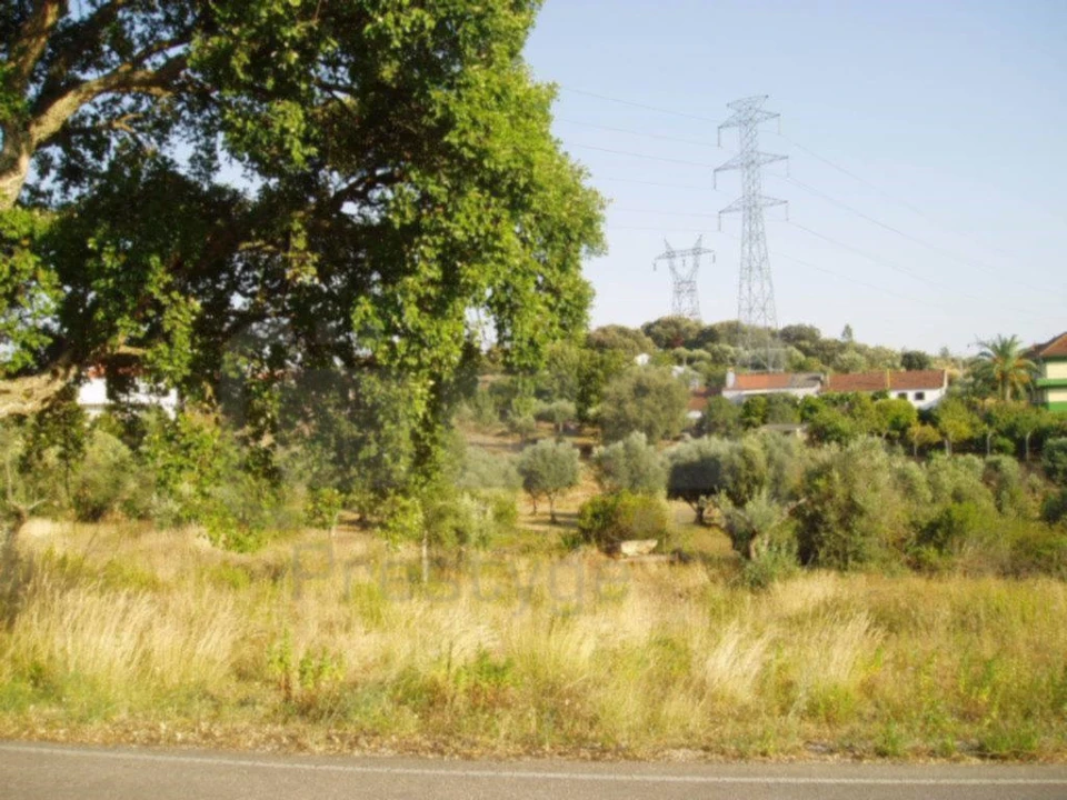 Terreno para Venda em Casais e Alviobeira Foto 4