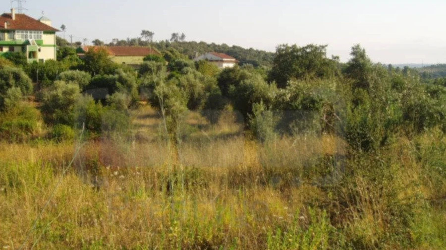 Terreno para Venda em Casais e Alviobeira
