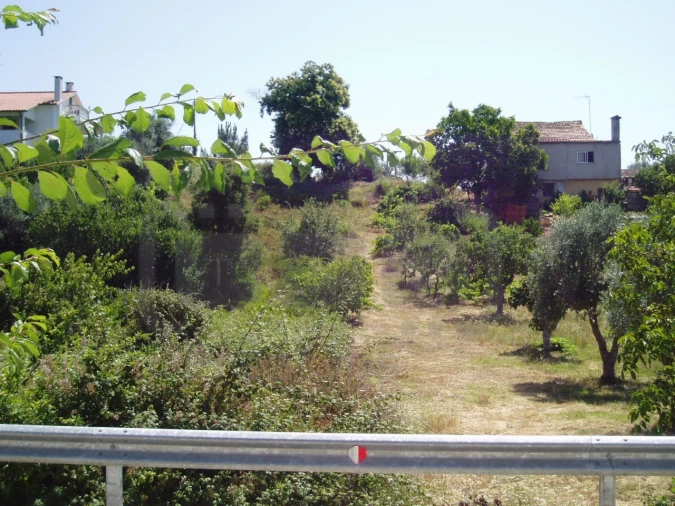 Terreno para Venda em Madalena e Beselga Foto 5