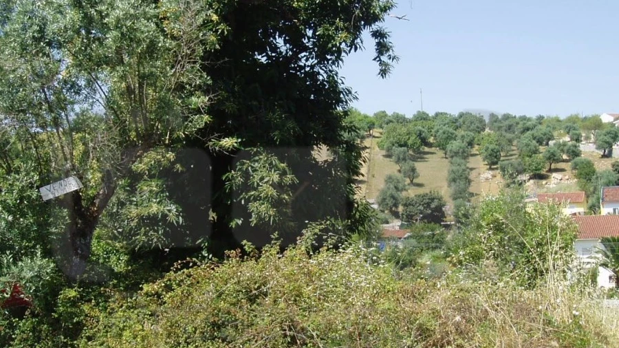 Terreno para Venda em Madalena e Beselga