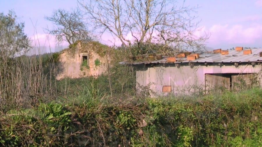Terreno para Venda em Areias e Pias