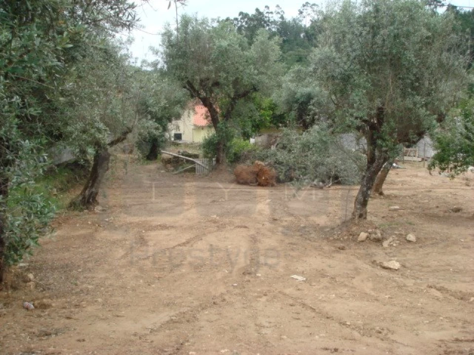 Terreno para Venda em Casais e Alviobeira Foto 3