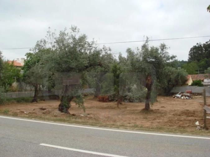 Terreno para Venda em Casais e Alviobeira Foto 2