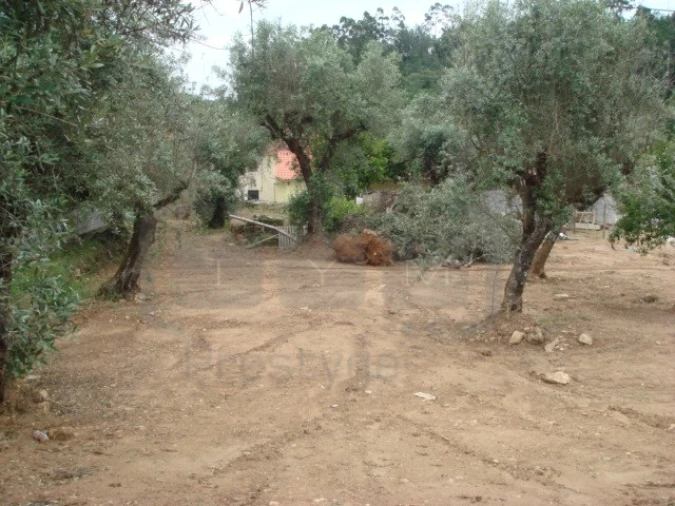 Terreno para Venda em Casais e Alviobeira Foto 3