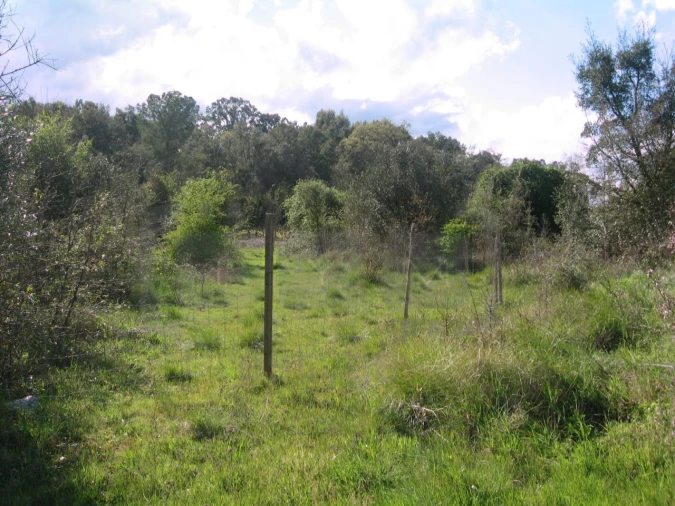 Terreno para Venda em São João Baptista e Santa Maria dos Olivais Foto 3