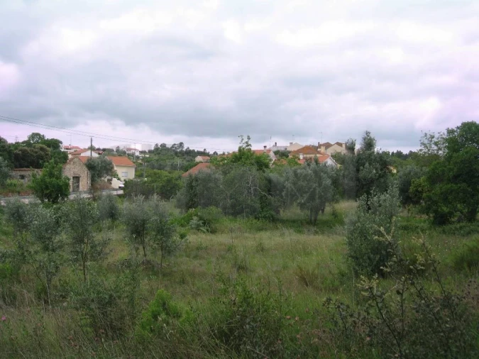 Terreno para Venda em Madalena e Beselga Foto 4