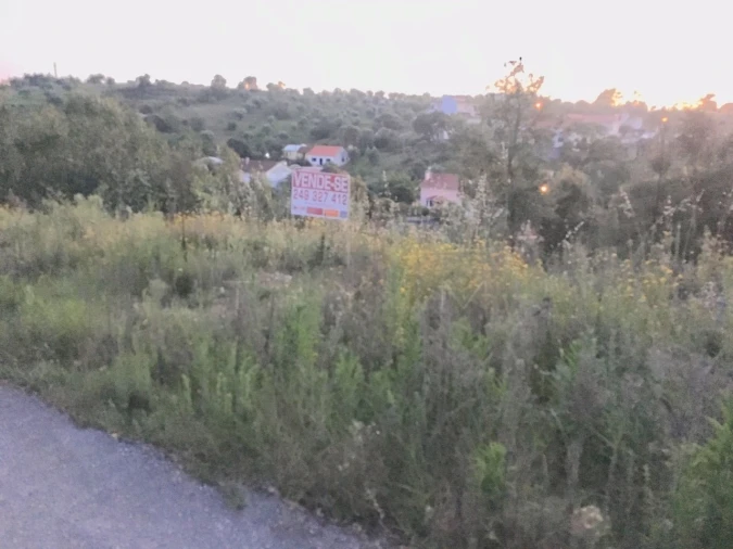 Terreno para Venda em Madalena e Beselga Foto 3