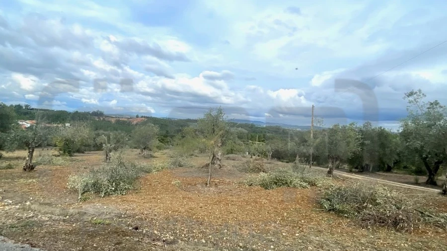 Terreno para Venda em Além da Ribeira e Pedreira