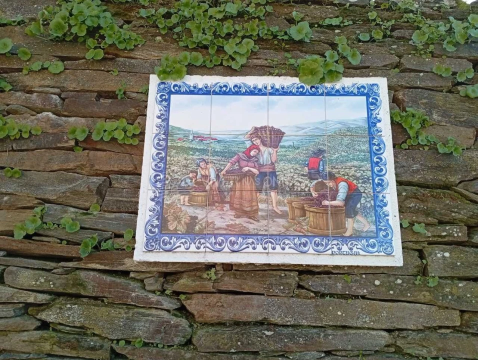 Quinta para Venda em Barcos e Santa Leocádia Foto 9