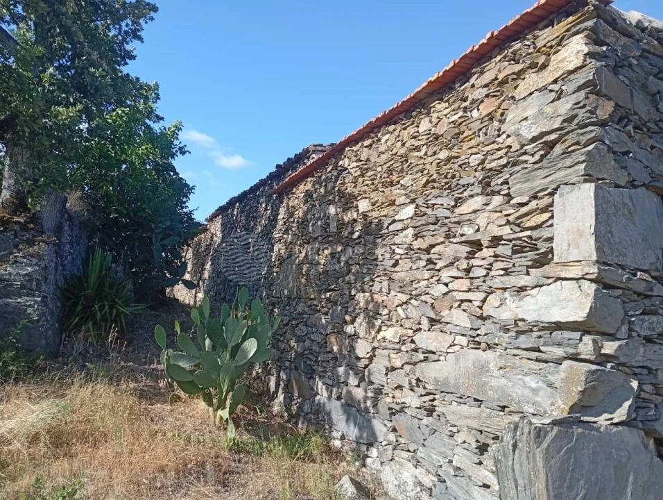 Quinta para Venda em Barcos e Santa Leocádia Foto 15