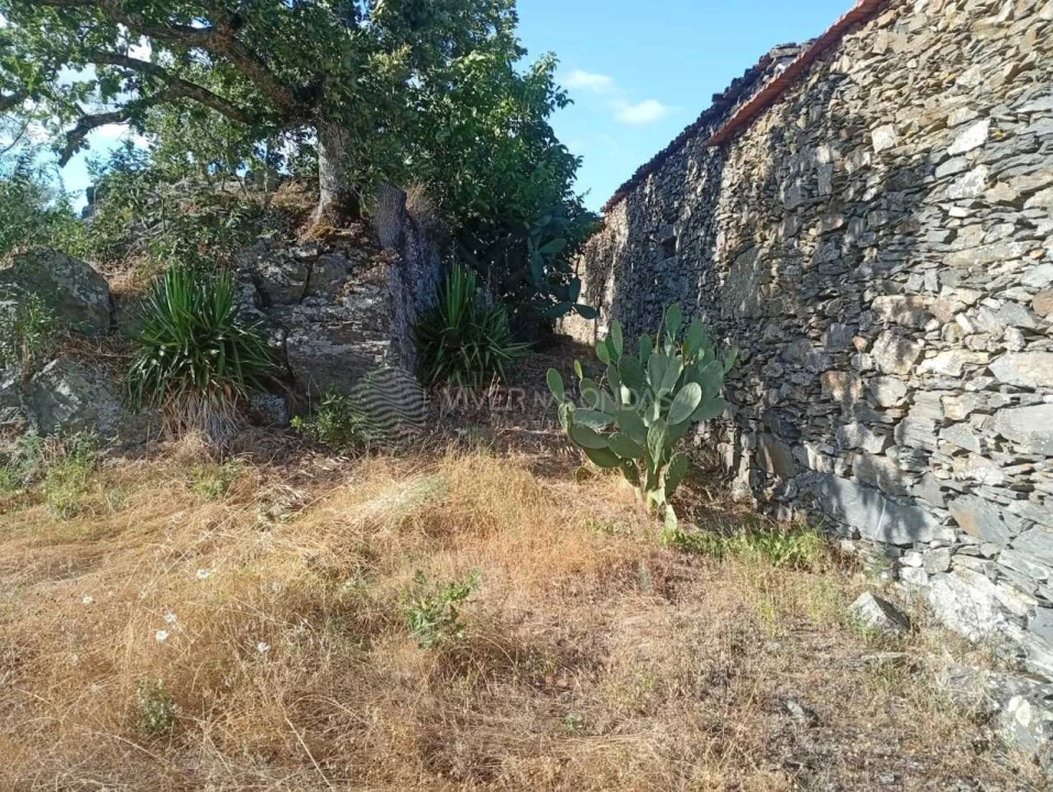Quinta para Venda em Barcos e Santa Leocádia Foto 16