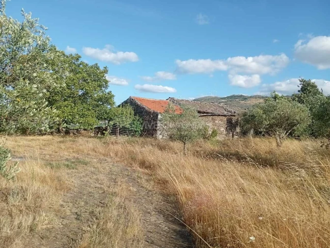 Quinta para Venda em Barcos e Santa Leocádia Foto 6
