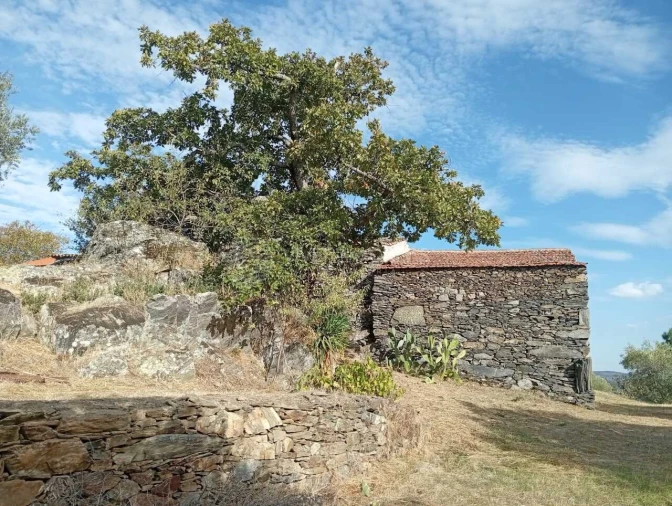 Quinta para Venda em Barcos e Santa Leocádia Foto 10