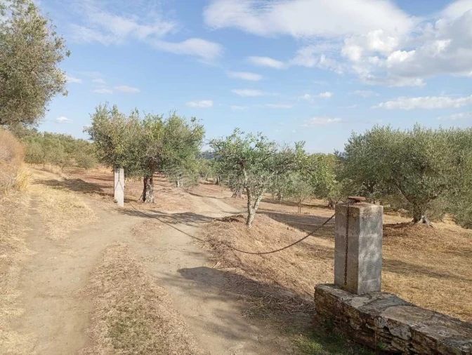 Quinta para Venda em Barcos e Santa Leocádia Foto 23