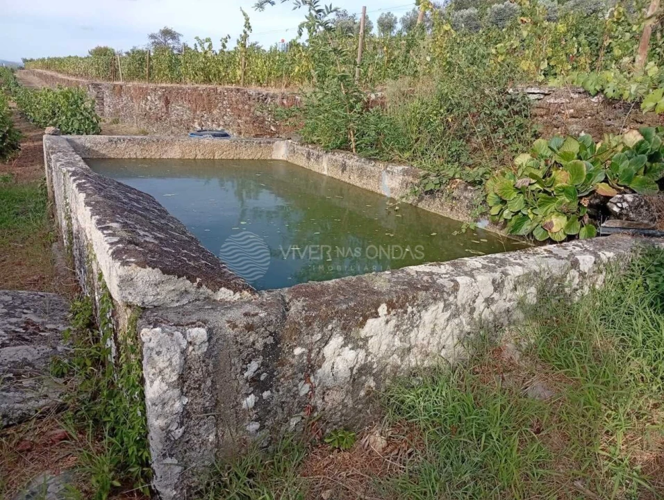 Quinta para Venda em Barcos e Santa Leocádia Foto 5