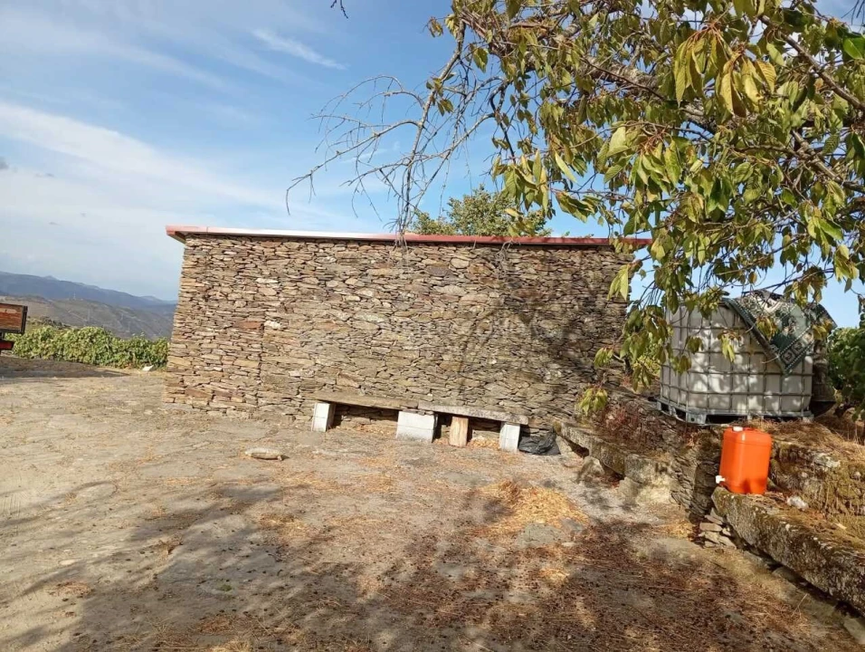 Quinta para Venda em Barcos e Santa Leocádia Foto 13