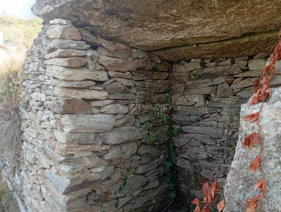 Quinta para Venda em Barcos e Santa Leocádia Foto 15