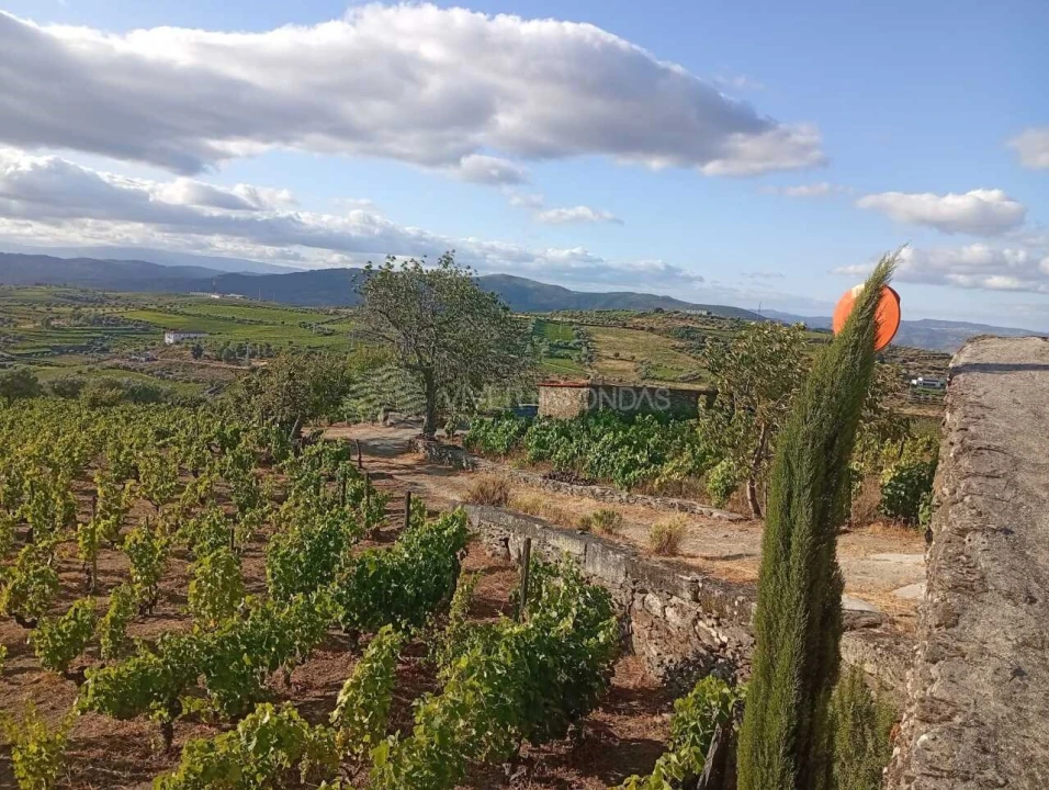 Quinta para Venda em Barcos e Santa Leocádia Foto 19