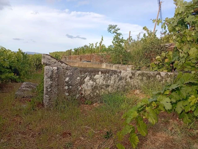 Quinta para Venda em Barcos e Santa Leocádia Foto 4