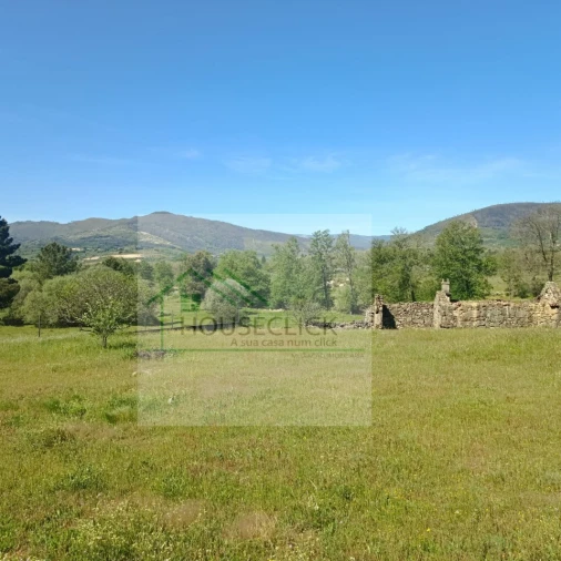 Terreno para Venda em Belmonte e Colmeal da Torre Foto 3