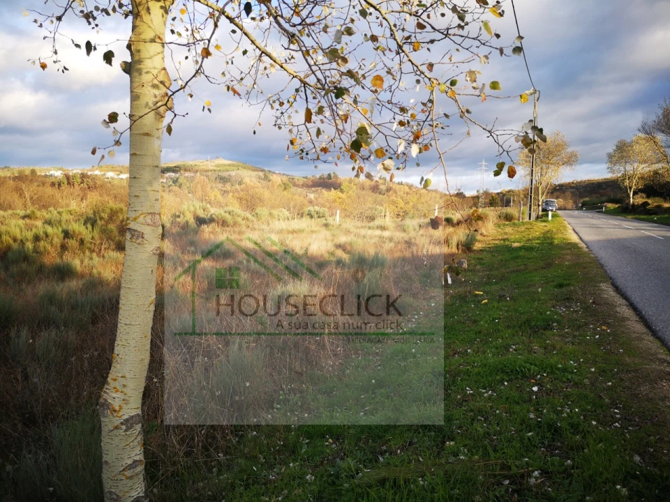 Terreno para Venda em Santo Estêvão e Moita Foto 1